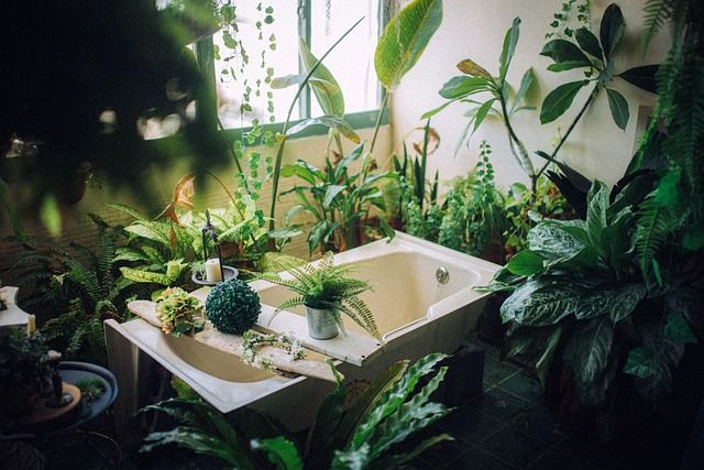 Pet spa comfort station with warm calming atmosphere