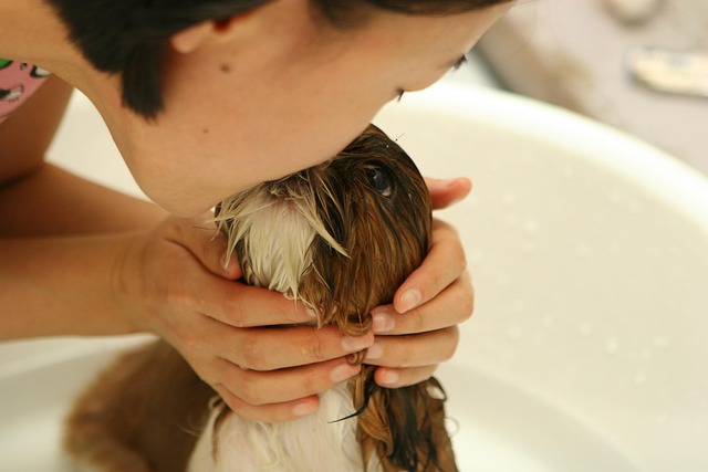 Pastel care station representing a calm grooming intake system